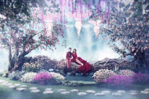 光伏电站的运维差异：北方和南方的区别